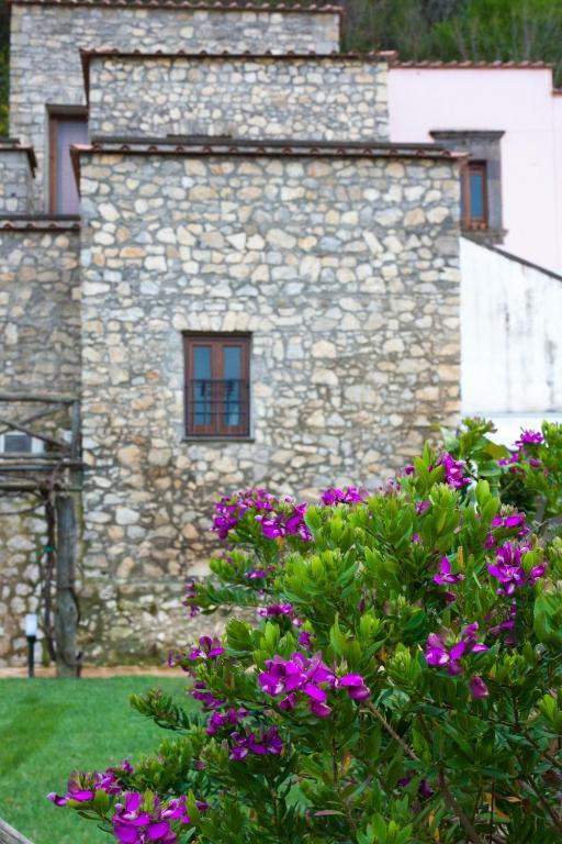 Villa Della Porta - Dimora Storica Vico Equense Kamer foto